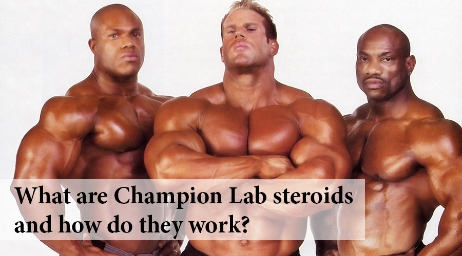 champion lab steroids